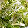 crystaI's cooksnap of when they made 我が家の定番！大根 水菜 貝割れサラダ.