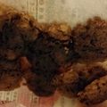 クック0ZOVDV☆'s cooksnap of when they made レンジでクッキー.