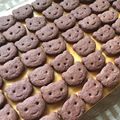 khrawchai's cooksnap of when they made サクサクココアクッキー.
