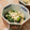 ルリナ's cooksnap of when they made 菜の花の白和え.