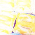 め〜ちん's cooksnap of when they made アップルパイ.