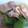 まいかるさー's cooksnap of when they made 青梗菜とベーコンのさっと煮♫.