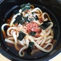 NVX's cooksnap of when they made 冷たいうどんを梅干しで☆.