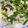 Rick_t's cooksnap of when they made あったか！ニラ玉かけうどん.