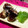 Ｒｅｅ☆'s cooksnap of when they made 簡単ですごくおいしい！秋刀魚の梅しそ焼き.