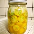 しまりすこ's cooksnap of when they made 酵母液 きんかん.