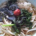 夏女旅娘's cooksnap of when they made 春菊とわかめのあったかおろしうどん.