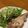 ちょみ☆☆'s cooksnap of when they made 【兎肉】棒々兎【うさぎにく】.
