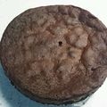 タロットパパ's cooksnap of when they made 記念日に！しっとり大人ガトーショコラ.