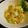 Hirarinn☆'s cooksnap of when they made 芽キャベツの卵サラダ.