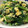 kkll0000's cooksnap of when they made ほうれん草のふわふわたまご炒め.