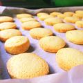 ayanofujii's cooksnap of when they made 簡単 バタークッキー.