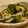 ぐります's cooksnap of when they made イカとキュウリの酢の物.