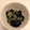 黒パグりん's cooksnap of when they made キュウリとワカメの中華和え.