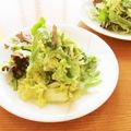 pali's cooksnap of when they made アボカドチーズソースで❀白菜リーフサラダ.