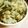 あさここなっつ's cooksnap of when they made ごぼうとしめじの炊き込みごはん.