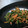 koedakko's cooksnap of when they made ほうれん草・春菊・人参のゴマ和え♪.