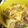 funa☆yossy's cooksnap of when they made 豚もやしあんかけ卵丼.