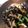 はんちくたい's cooksnap of when they made ひじきの煮物.