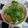 ８６３１７６'s cooksnap of when they made 簡単♪鶏肉のフォー風.