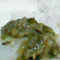 1すいか1's cooksnap of when they made ふきのとう味噌　.