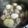 ぷちゃん0726's cooksnap of when they made ✥圧力鍋で簡単‼︎大根鶏肉の煮物.
