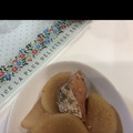 かおりんぱんだ's cooksnap of when they made 簡単！ほっこり美味しい鮭大根.