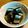 Pigutan's cooksnap of when they made 圧力鍋でやわらかさんま煮.