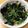 chie1212's cooksnap of when they made ほうれん草とツナの三杯酢あえ.
