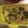 クック4YFX5H☆'s cooksnap of when they made ほうれん草＆ツナのパスタ.