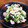 YUKIKI☆'s cooksnap of when they made 春に簡単！菜の花の白和え風サラダ.