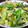 ぱなずきん's cooksnap of when they made 。。小松菜とツナのササッと炒め。。.