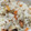 yuhiro0517's cooksnap of when they made 我が家の炊き込みご飯.
