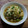 秩父山人's cooksnap of when they made ルクエで蒸し鶏の葱たっぷりソース.