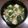 いぬたろー♘'s cooksnap of when they made 簡単 一品 豆腐 小松菜 卵で 和風煮.