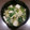 いぬたろー♘'s cooksnap of when they made 簡単 一品 豆腐 小松菜 卵で 和風煮.