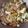 ペネロペクロス's cooksnap of when they made 旨い！ゴーヤチャンプル.