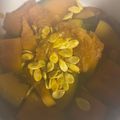 irodorinokoro's cooksnap of when they made 種も食べちゃう！カボチャの煮物.