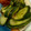 ♪ミチル♪'s cooksnap of when they made 塩分控えめなきゅうりの出汁漬け.