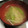 ☆Rokko☆'s cooksnap of when they made きぬさやとえのきと大根のみそ汁.