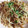 コシナ's cooksnap of when they made 豚肉とニラモヤシの焼肉炒め.
