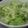iomanma's cooksnap of when they made ☆キャベツのバターしょうゆ炒め☆.