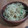 komugiko4's cooksnap of when they made きゅうりとゆかりの焼きそば.