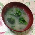 あざらしの赤ちゃん's cooksnap of when they made ブロッコリーと玉ねぎのお味噌汁.