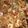 クックP47FO7☆'s cooksnap of when they made 私の好きなパエリア.