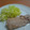 ゆかみちゅ's cooksnap of when they made 簡単生姜たっぷり☆豚の生姜焼き.