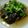 困ったくまった's cooksnap of when they made 簡単☆油を使わない、さっぱり茄子の煮浸し.