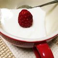 kojiacco's cooksnap of when they made カルピスと牛乳で♡懐かしいヨーグルト♡.