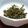 クックCT33O8☆'s cooksnap of when they made 簡単♪大根葉ふりかけ.