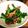 heianbizin's cooksnap of when they made ＊菜の花といかのささっと煮＊.